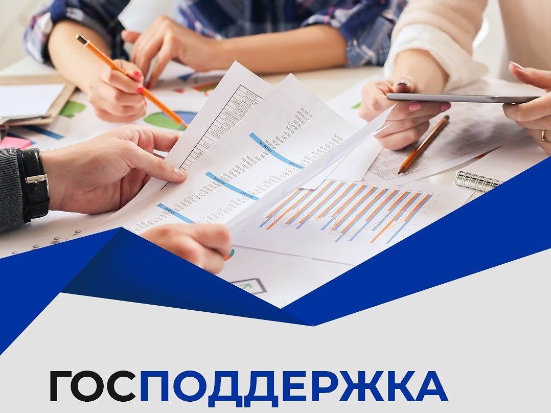 Минсельхоз Алтайского края объявил о приеме заявок на получение государственной поддержки.