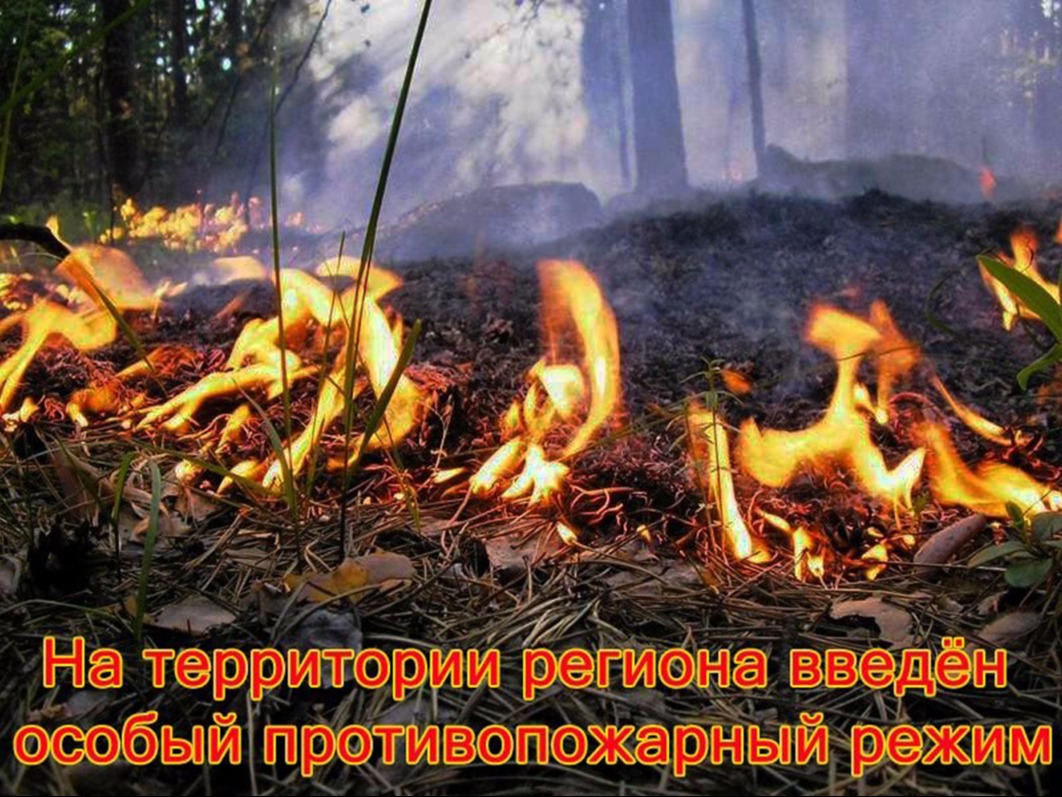 Введен особый противопожарный режим!.