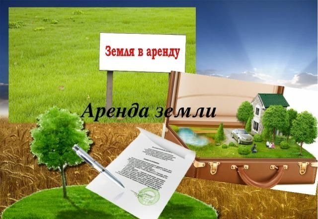 Аренда земельных участков.