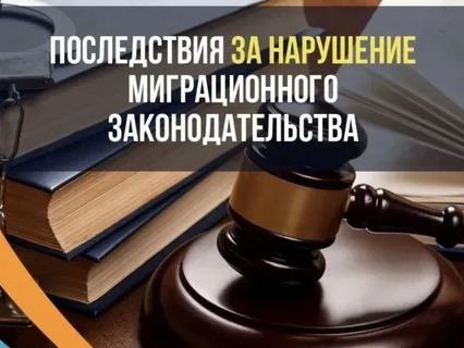 Профилактика правонарушений и преступлений в сфере миграции.
