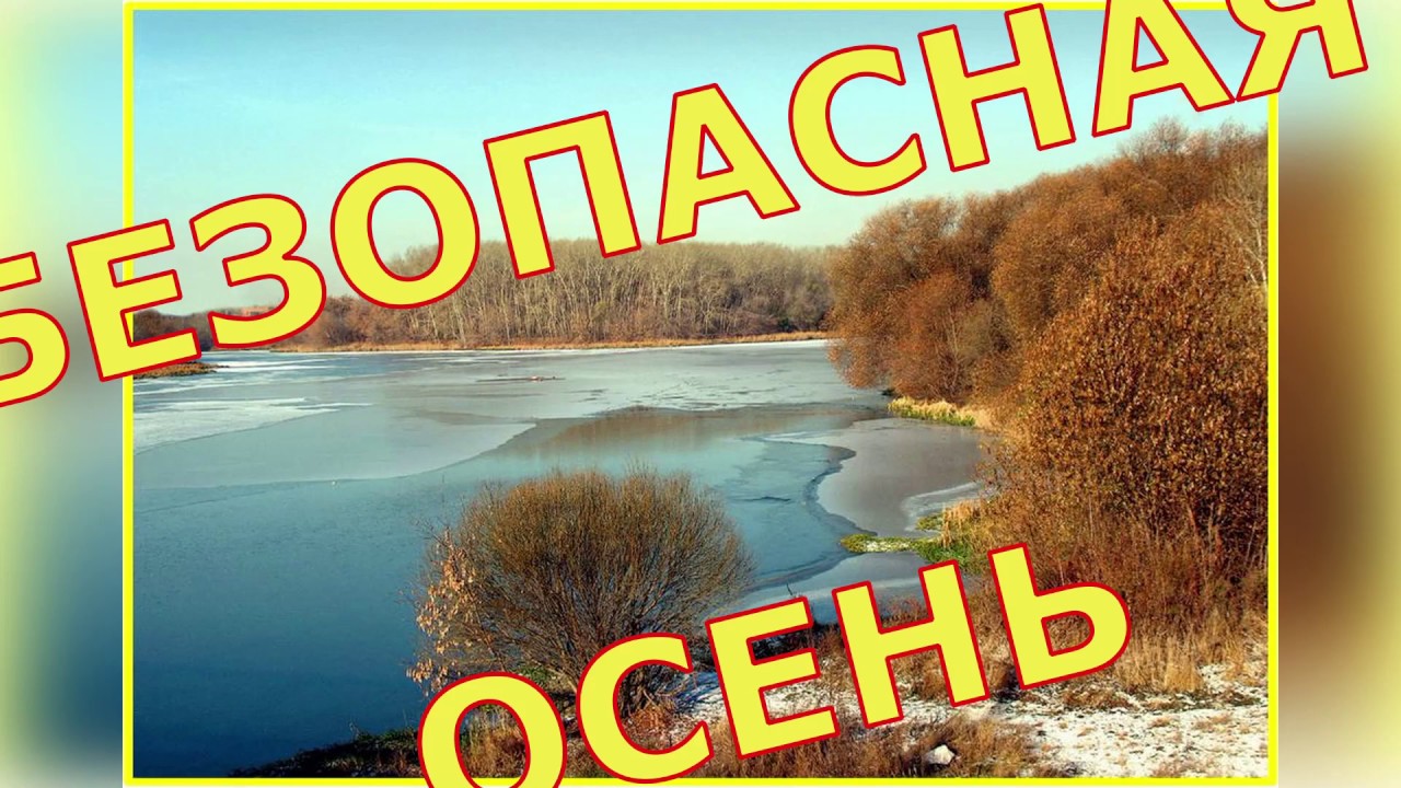 Осенние риски. Правила безопасности..